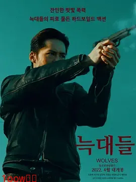 群狼2022[电影解说]封面图