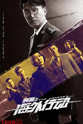 刑警之海外行动封面图