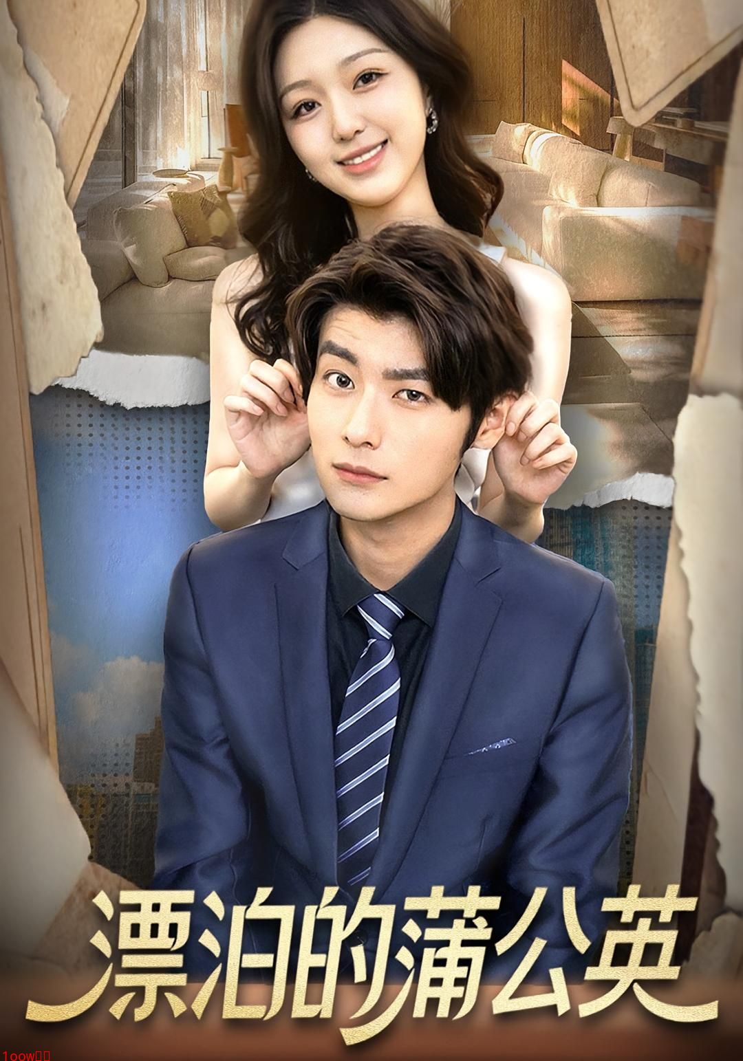 漂泊的蒲公英封面图