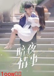 暗夜情事封面图