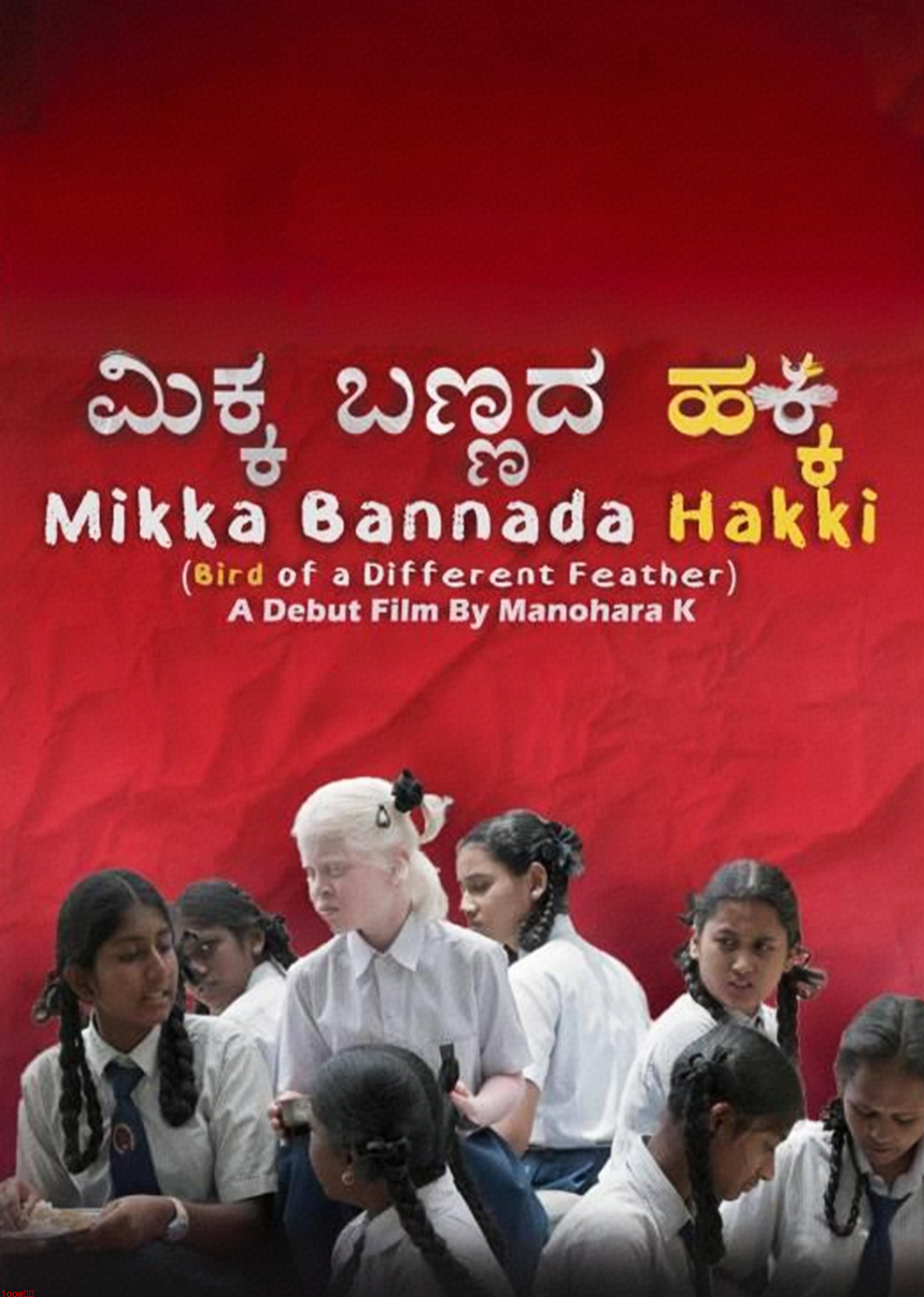 异羽之鸟封面图