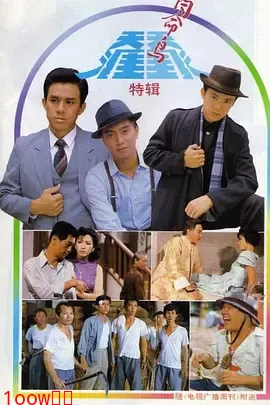 天涯同命鸟封面图