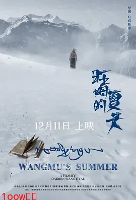 旺姆的夏天封面图