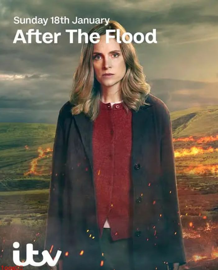 洪水之后 第二季封面图